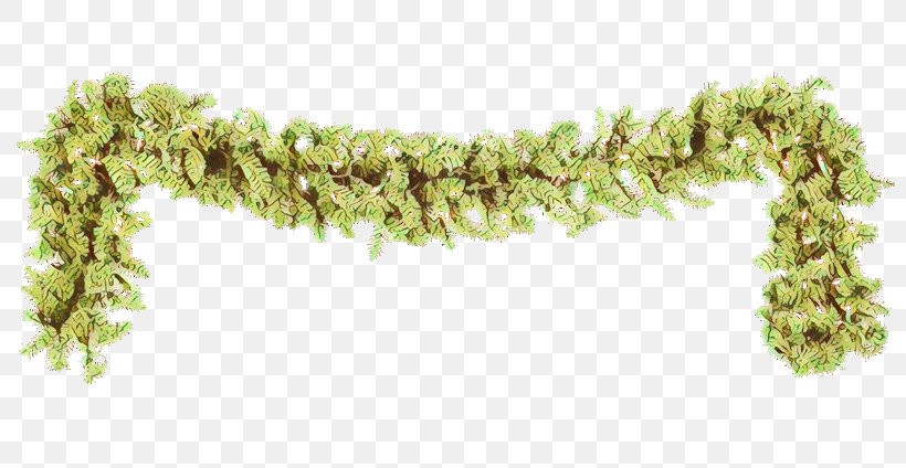 Plant Grass, PNG, 800x424px, Cartoon, Grass, Plant Download Free
