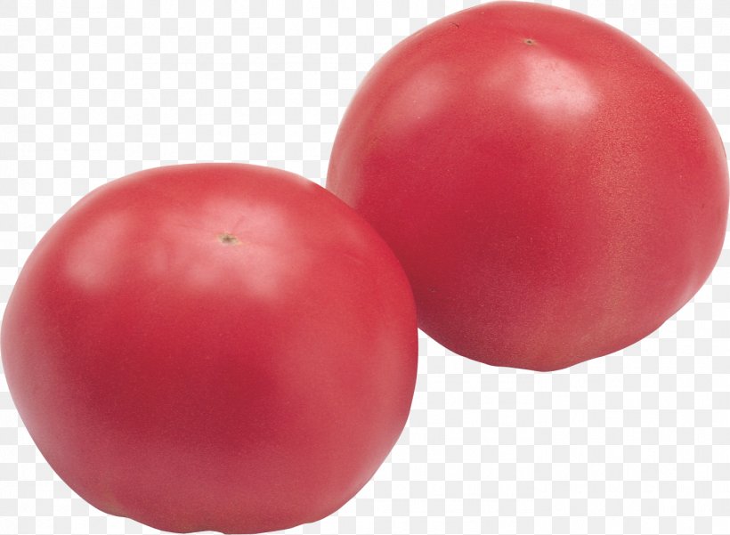 Plum Tomato Vegetable Bush Tomato Cherry Tomato Cultivar, PNG, 1393x1022px, Plum Tomato, Auglis, Bush Tomato, Cherry Tomato, Cranberry Download Free