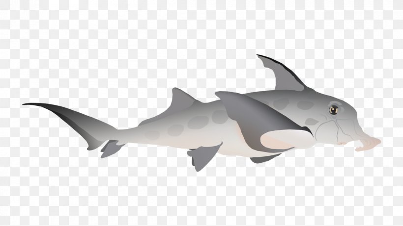 Requiem Sharks Porpoise Fauna Cetacea, PNG, 1200x675px, Requiem Sharks, Animal, Animal Figure, Cartilaginous Fish, Cetacea Download Free