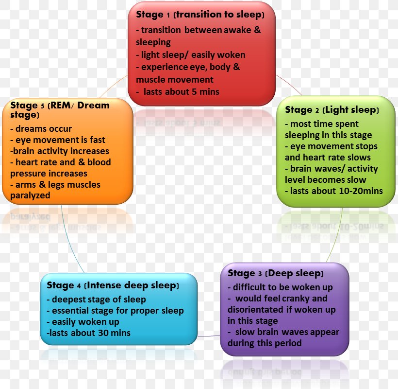 Sleep Cycle Non-rapid Eye Movement Sleep Sleep Disorder, PNG, 819x800px, Sleep Cycle, Apnea, Bedtime, Brand, Diagram Download Free
