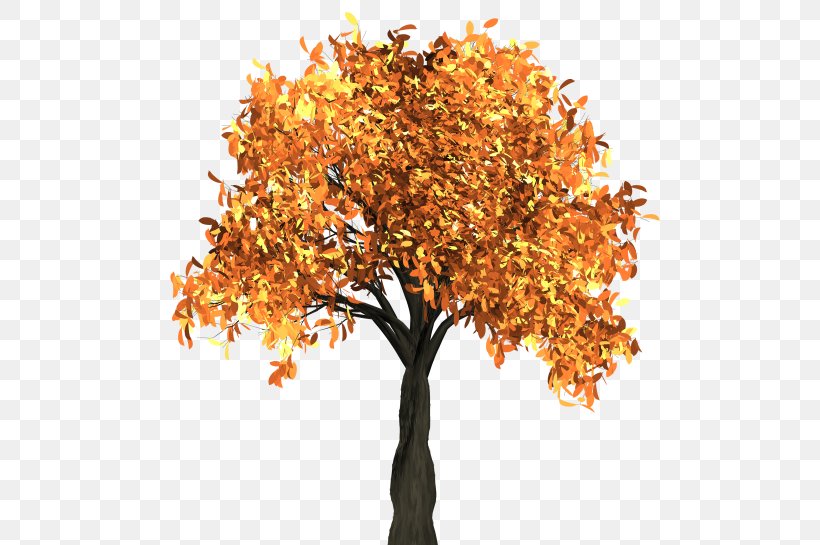 Tree Autumn Leaf Color Clip Art, PNG, 500x545px, Tree, Autumn, Autumn Leaf Color, Branch, Deciduous Download Free