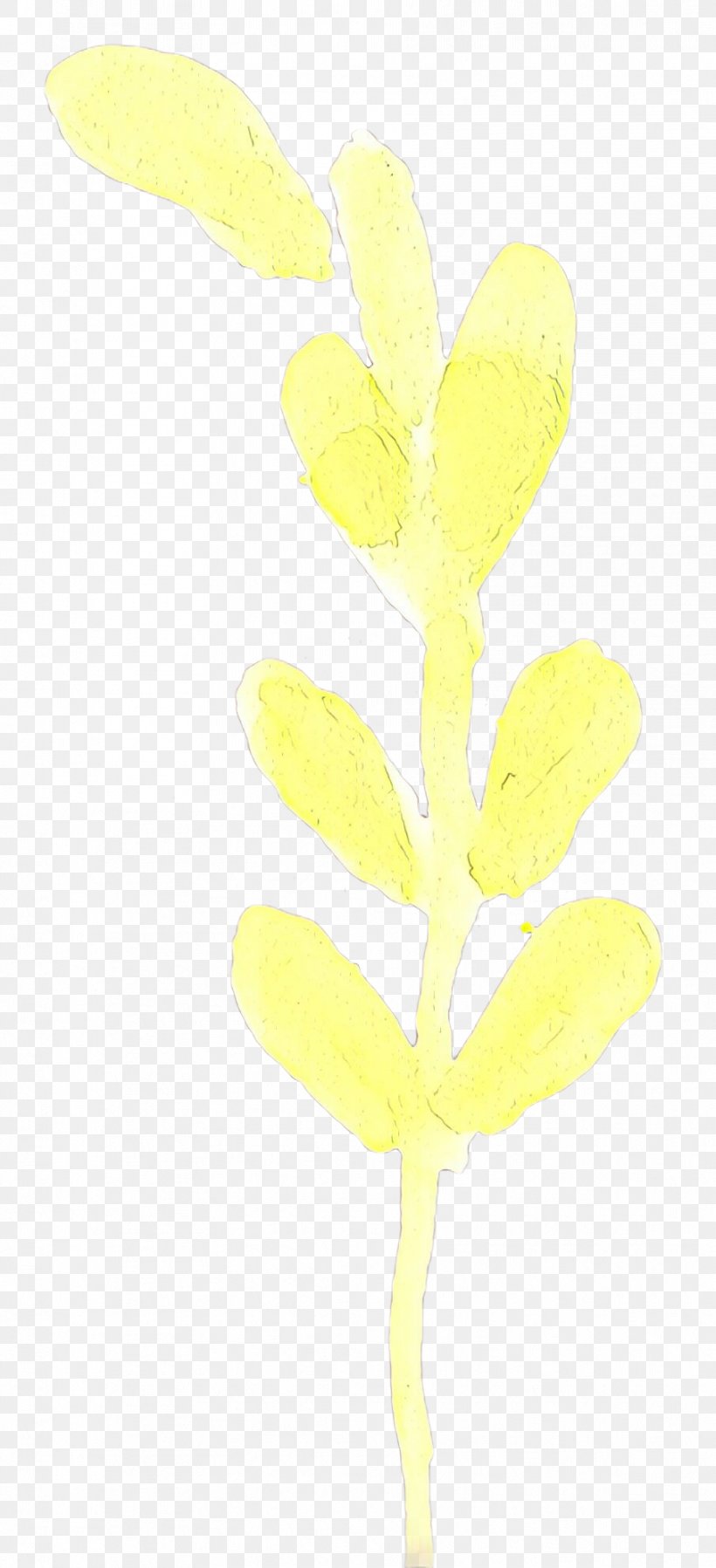 Yellow Flower Leaf Plant Pedicel, PNG, 906x1986px, Cartoon, Flower, Flowering Plant, Leaf, Pedicel Download Free