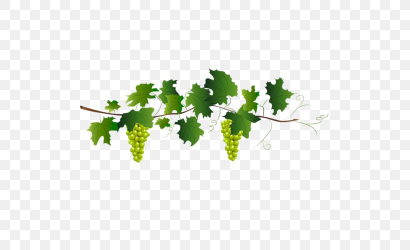 White Wine Red Wine Grenache Grape, PNG, 500x500px, White Wine, Alcoholic Beverages, Branch, Chianti Docg, Common Grape Vine Download Free