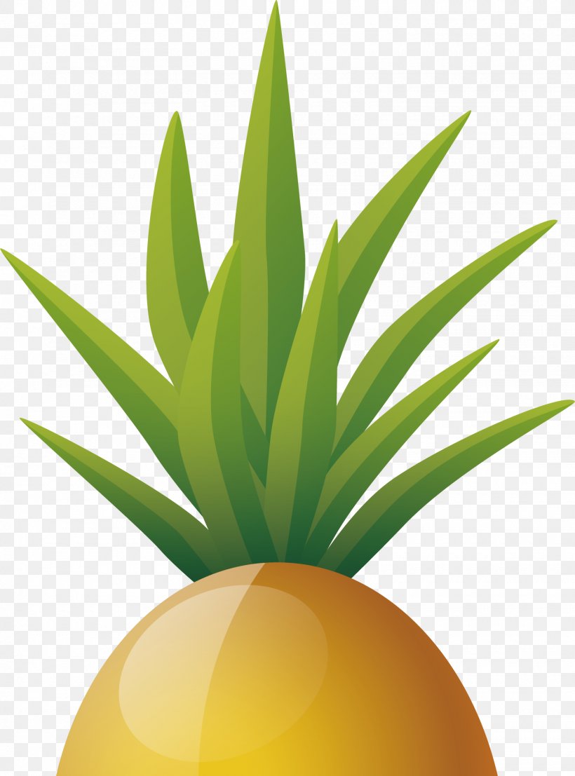 ArtWorks, PNG, 1520x2053px, Artworks, Aloe, Ananas, Bromeliaceae, Cartoon Download Free