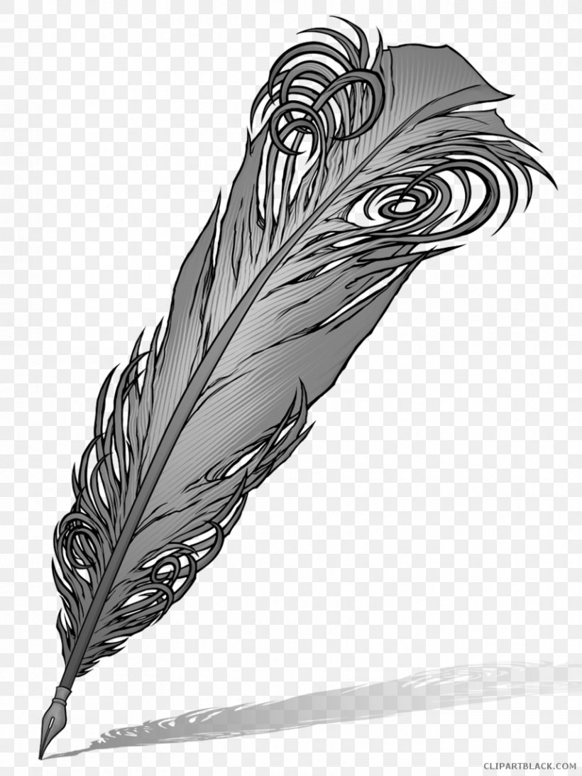 Paper Quill Clip Art Fountain Pen, PNG, 855x1140px, Paper, Bird, Black And White, Dip Pen, Drawing Download Free