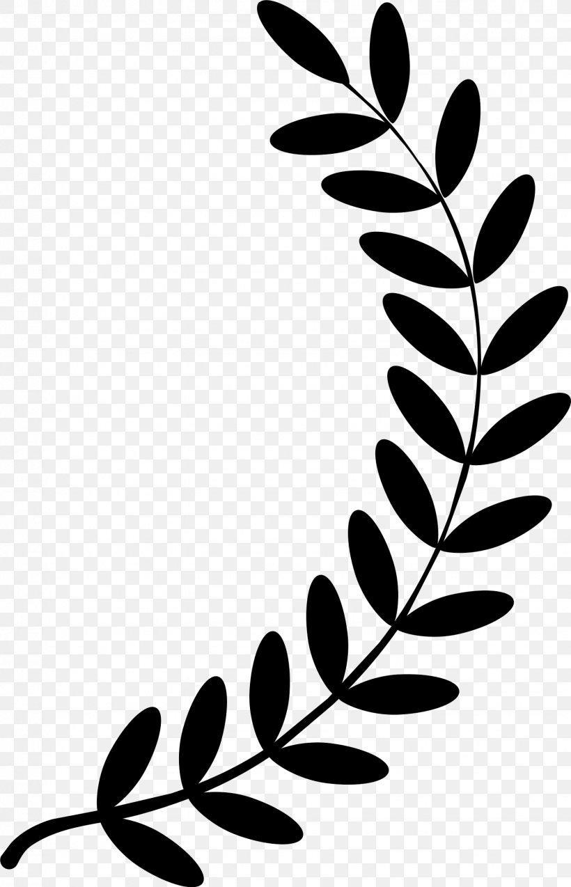 vector graphics clip art laurel wreath png 1544x2399px laurel wreath bay laurel blackandwhite botany branch download vector graphics clip art laurel wreath