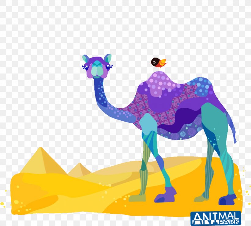 Dromedary Drawing Clip Art, PNG, 1024x922px, Dromedary, Arabian Camel, Art, Camel, Camel Like Mammal Download Free
