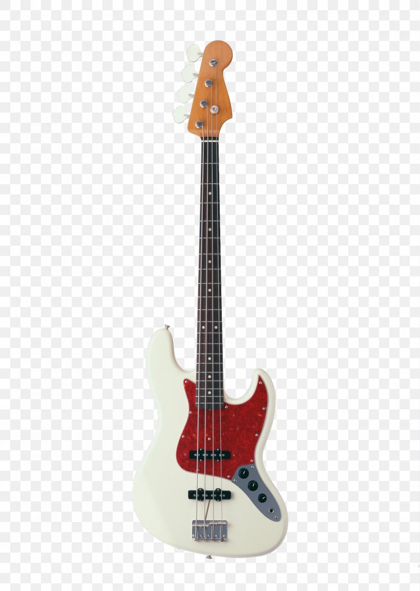 Fender Jazz Bass V Bass Guitar Electric Guitar, PNG, 1600x2254px, Watercolor, Cartoon, Flower, Frame, Heart Download Free