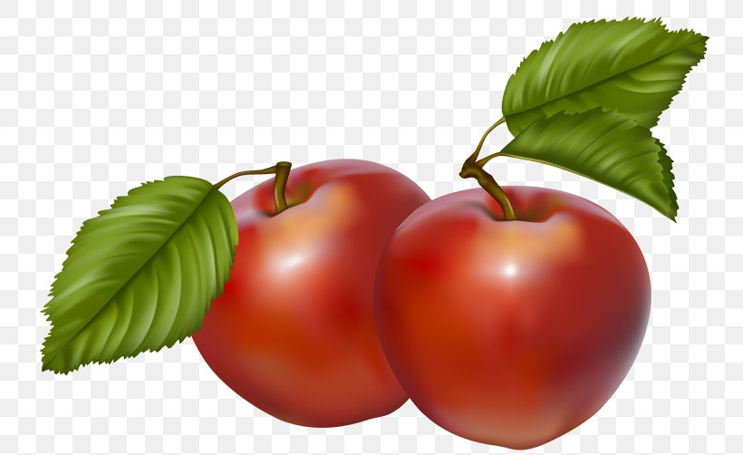 Oak Glen, San Bernardino County, California Apple Cider Clip Art, PNG, 750x502px, Apple, Acerola, Acerola Family, Apple Cider, Apples Download Free