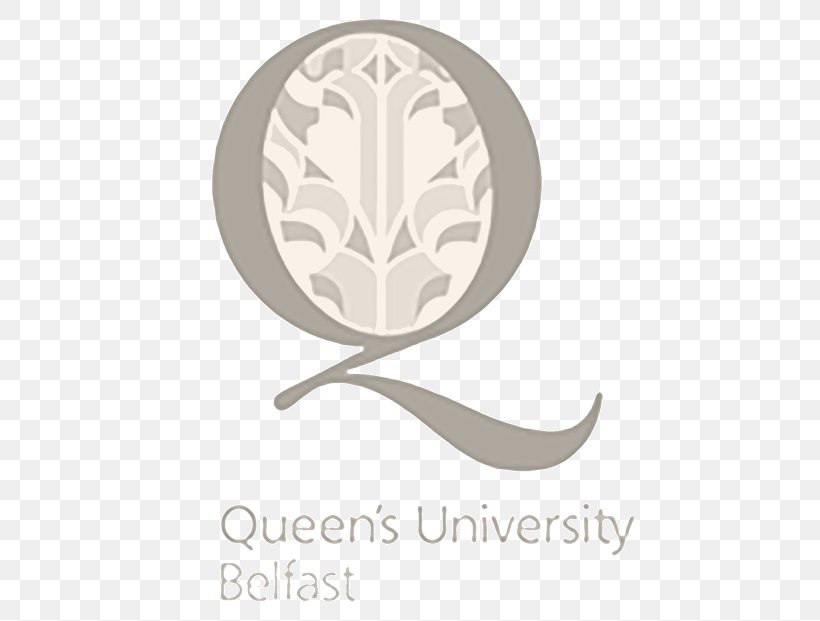 Queen's University Belfast Liverpool Hope University University Of Limerick Dublin City University, PNG, 500x621px, University Of Limerick, Academic Degree, Bachelor Of Science, Beige, Belfast Download Free