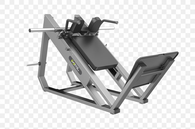 Squat Exercise Equipment Fitness Centre Power Rack Exercise Machine, PNG, 1500x1000px, Squat, Automotive Exterior, Barbell, Bodybuilding, Crossfit Download Free