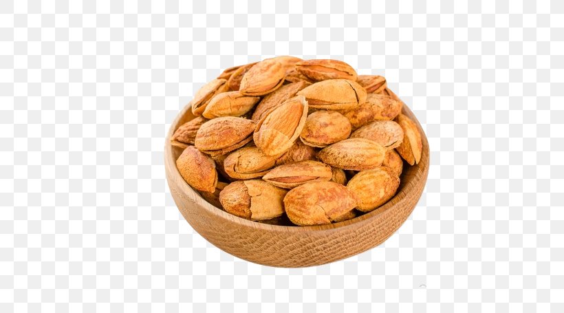 Almond Nut Dried Fruit Snack Apricot Kernel, PNG, 557x455px, Almond, Almond Butter, Almond Roca, Apricot Kernel, Butter Download Free