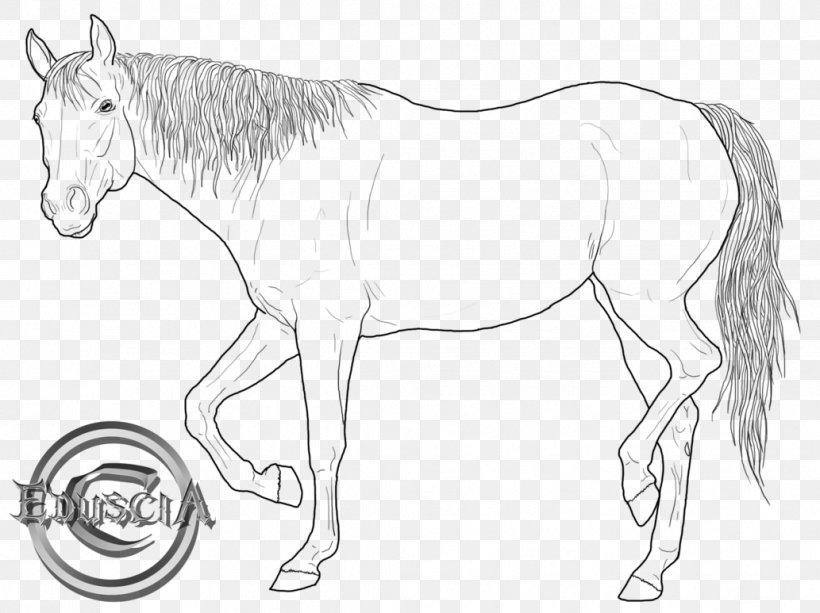 American Quarter Horse Arabian Horse Drawing Line Art Stallion, PNG, 1033x773px, American Quarter Horse, Animal, Animal Figure, Arabian Horse, Art Download Free