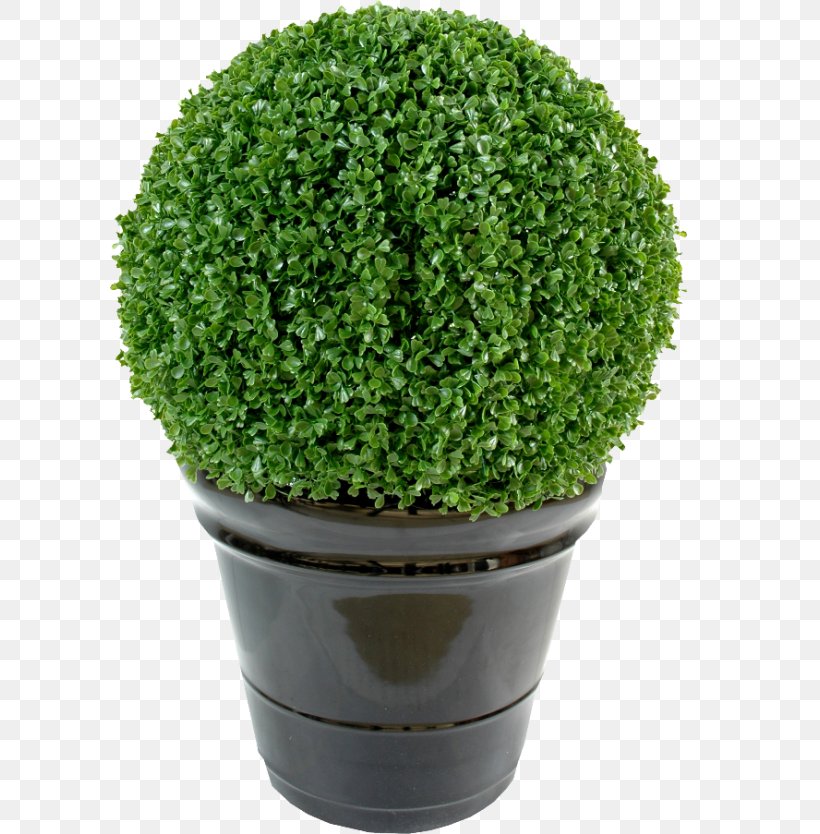 Artificial Flower Buxus Sempervirens Treelet Plant Diameter, PNG, 600x834px, Artificial Flower, Box, Buxus Sempervirens, Diameter, Flower Download Free