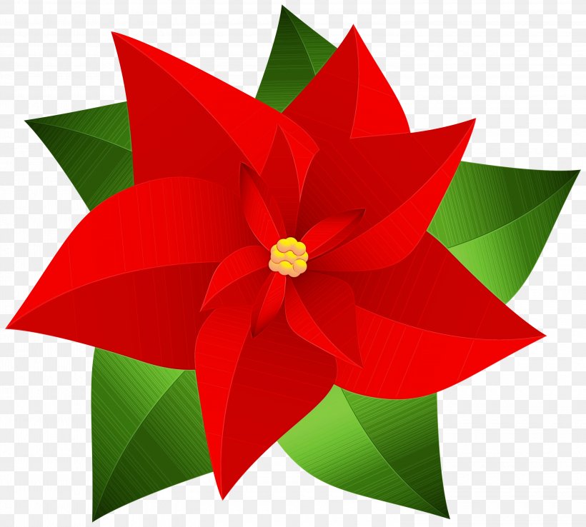 Christmas Poinsettia, PNG, 3000x2702px, Watercolor, Art, Botany, Christmas Day, Drawing Download Free