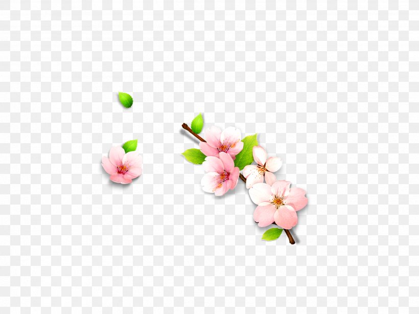 Petal Pink Wallpaper, PNG, 2495x1871px, Petal, Blossom, Body Jewelry, Branch, Color Download Free