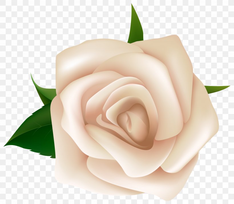 Rose White Clip Art, PNG, 6415x5608px, Rose, Black Rose, Blog, Cut Flowers, Flower Download Free