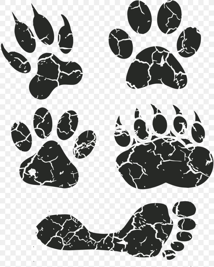 Border Collie Puppy Pet Sitting Dog Daycare Dog Walking, PNG, 817x1024px, Border Collie, Animal, Animal Track, Black, Black And White Download Free