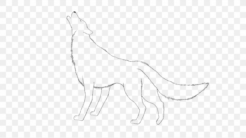 Canidae Cat Macropodidae Dog Mammal, PNG, 1920x1080px, Canidae, Animal, Animal Figure, Artwork, Black And White Download Free