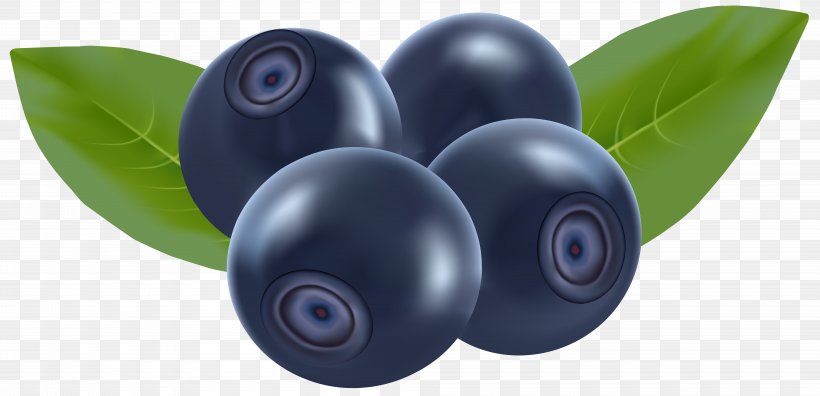 Blueberry Clip Art, PNG, 8000x3870px, Blueberry Pie, Berry, Bilberry, Blog, Blueberry Download Free
