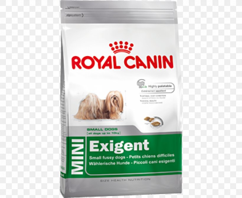 Dog Food Cat Royal Canin Pet, PNG, 880x720px, Dog, Brand, Cat, Dog Breed, Dog Food Download Free