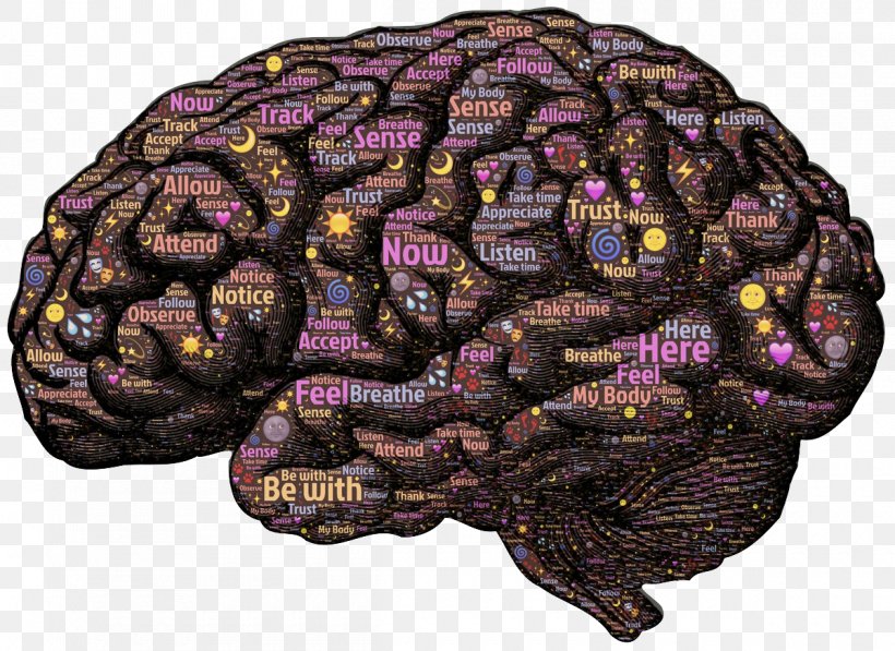 Human Brain Neural Pathway Neuroplasticity Mind, PNG, 1200x875px, Watercolor, Cartoon, Flower, Frame, Heart Download Free