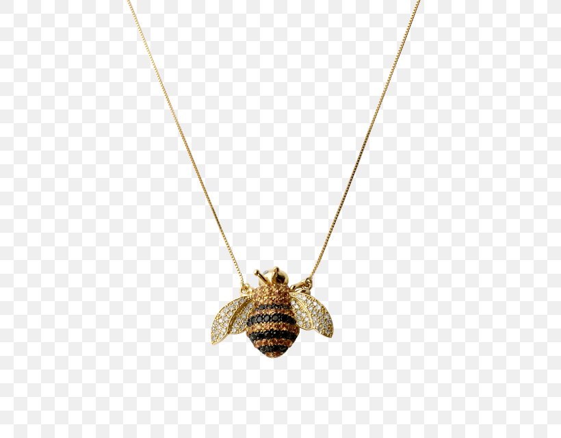 Locket Insect Necklace, PNG, 608x640px, Locket, Fashion Accessory, Insect, Jewellery, Membrane Winged Insect Download Free