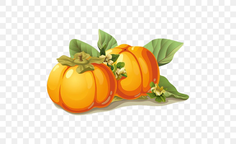 Persimmon Euclidean Vector Fruit Frutti Di Bosco, PNG, 500x500px, Persimmon, Autumn, Calabaza, Citrus, Cucurbita Download Free