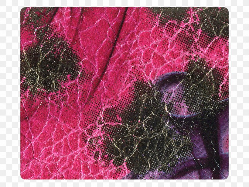 Petal Pink M Leaf RTV Pink Pattern, PNG, 1100x825px, Petal, Flower, Leaf, Magenta, Organism Download Free