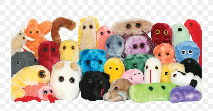 Plush Stuffed Animals & Cuddly Toys GIANTmicrobes Microorganism Bacteria, PNG, 770x428px, Plush, Bacteria, Child, Fur, Giantmicrobes Download Free