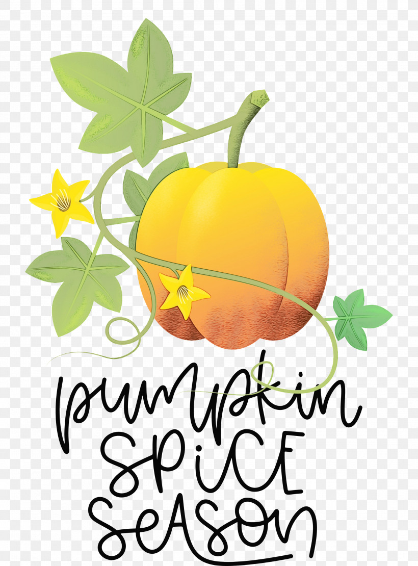 Pumpkin, PNG, 2215x2999px, Autumn, Cartoon, Cucurbita Maxima, Drawing, Paint Download Free