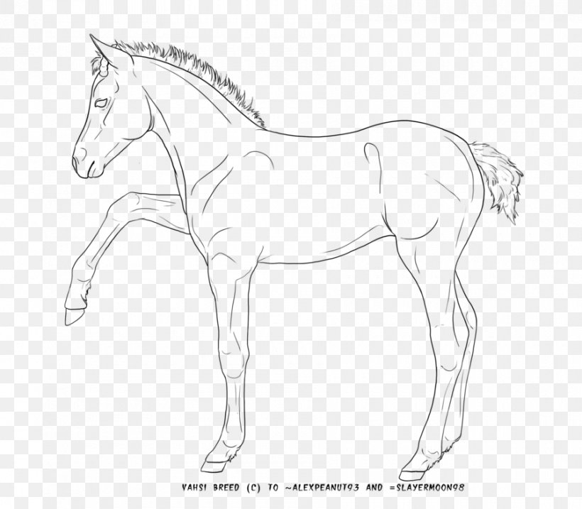 Mane Foal Pony Bridle Mustang, PNG, 900x788px, Mane, Animal Figure, Arm, Artwork, Bit Download Free