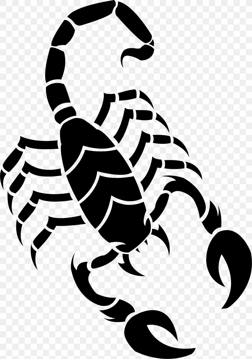 Scorpion Drawing Clip Art, PNG, 1469x2097px, Scorpion, Arachnid, Art, Art Museum, Arthropod Download Free