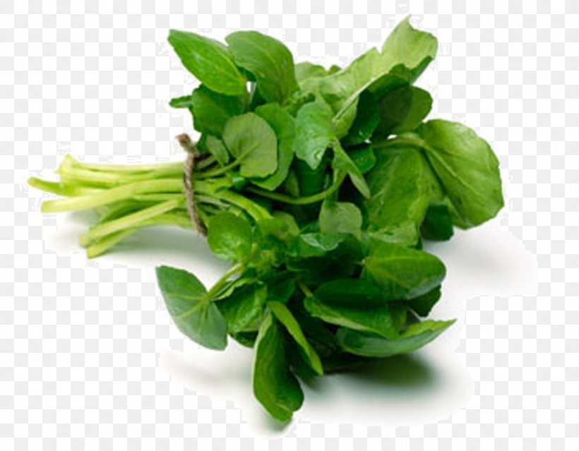 Tea Sandwich Watercress Soup Leaf Vegetable Health, PNG, 1527x1191px, Tea Sandwich, Basil, Cooking, Eating, Food Download Free