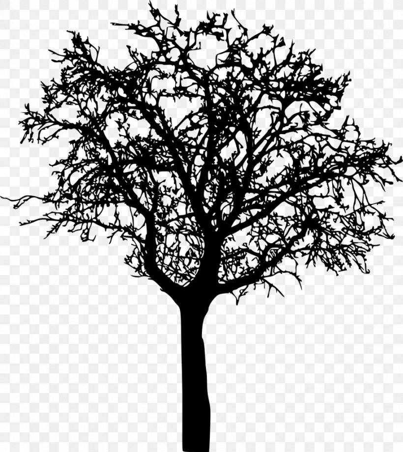 Twig Silhouette, PNG, 912x1024px, Twig, Black And White, Branch, Information, Leaf Download Free