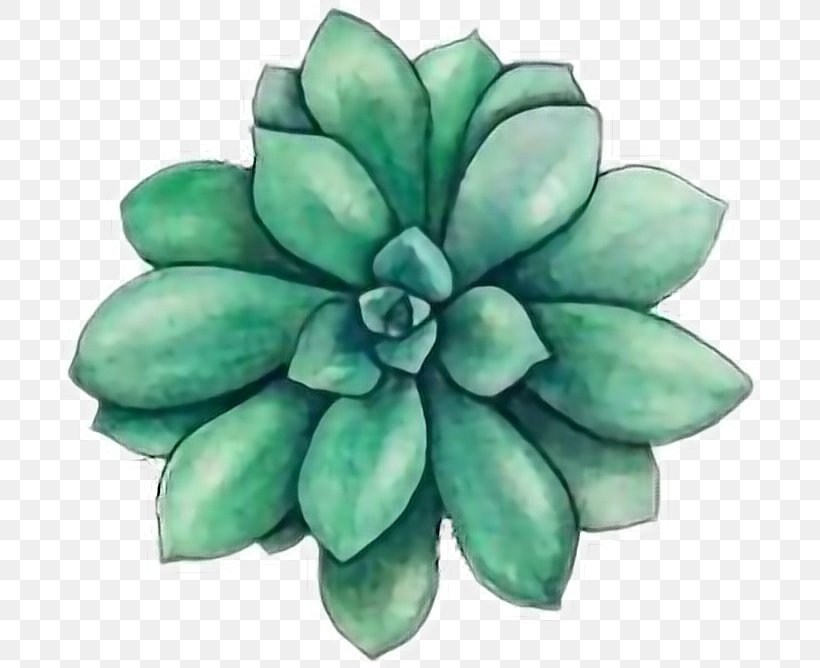 Watercolor Painting Watercolor: Flowers Succulent Plant Drawing, PNG, 700x668px, 2018, Watercolor Painting, Art, Cactus, Drawing Download Free