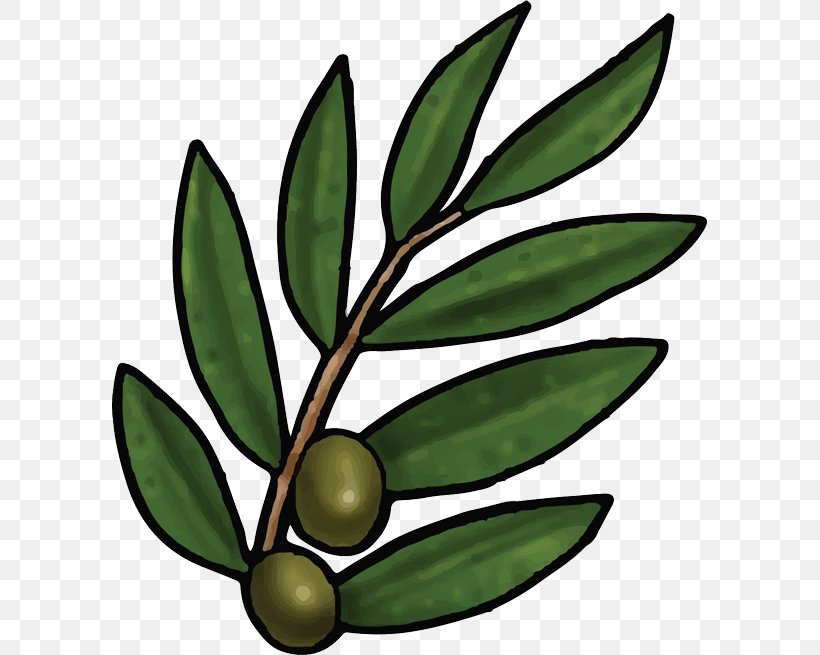 Bible Olive Leaf Olive Leaf Olive Branch, PNG, 595x655px, Bible, Bible Story, Christianity, Common Fig, Fig Leaf Download Free