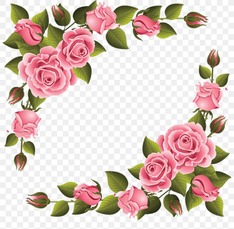 Clip Art Image Borders And Frames Photograph Illustration, PNG, 804x804px, Borders And Frames, Art, Artificial Flower, Canvas Print, Cut Flowers Download Free