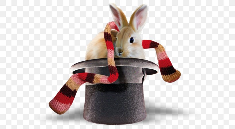 European Rabbit Leporids Hat Scarf, PNG, 600x453px, European Rabbit, Designer, Hat, Leporids, Magic Download Free