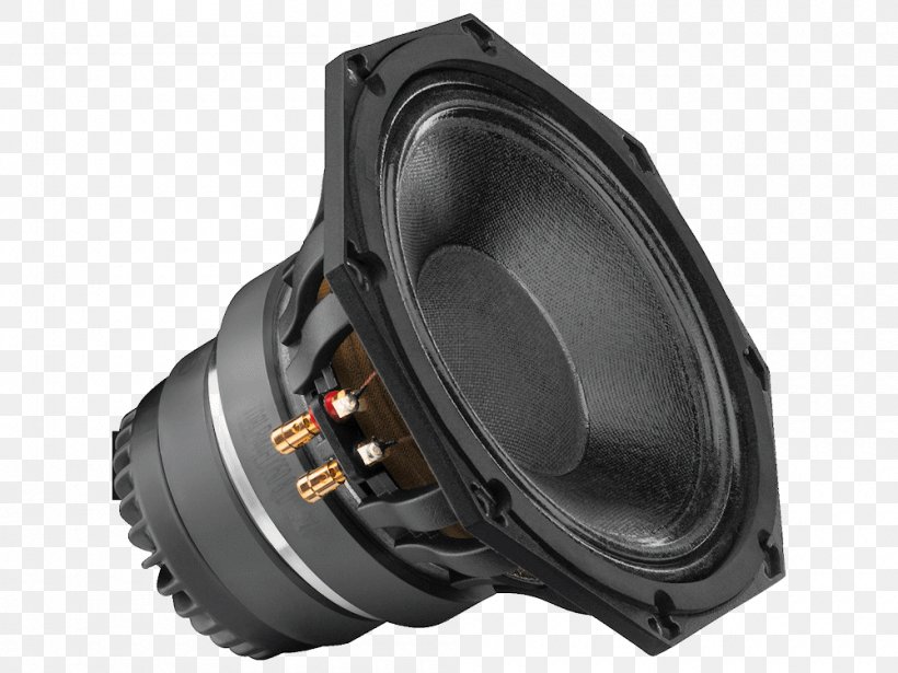 Horn Loudspeaker Subwoofer Audio Coaxial, PNG, 1000x750px, Loudspeaker, Audio, Audio Equipment, Bass, Car Subwoofer Download Free