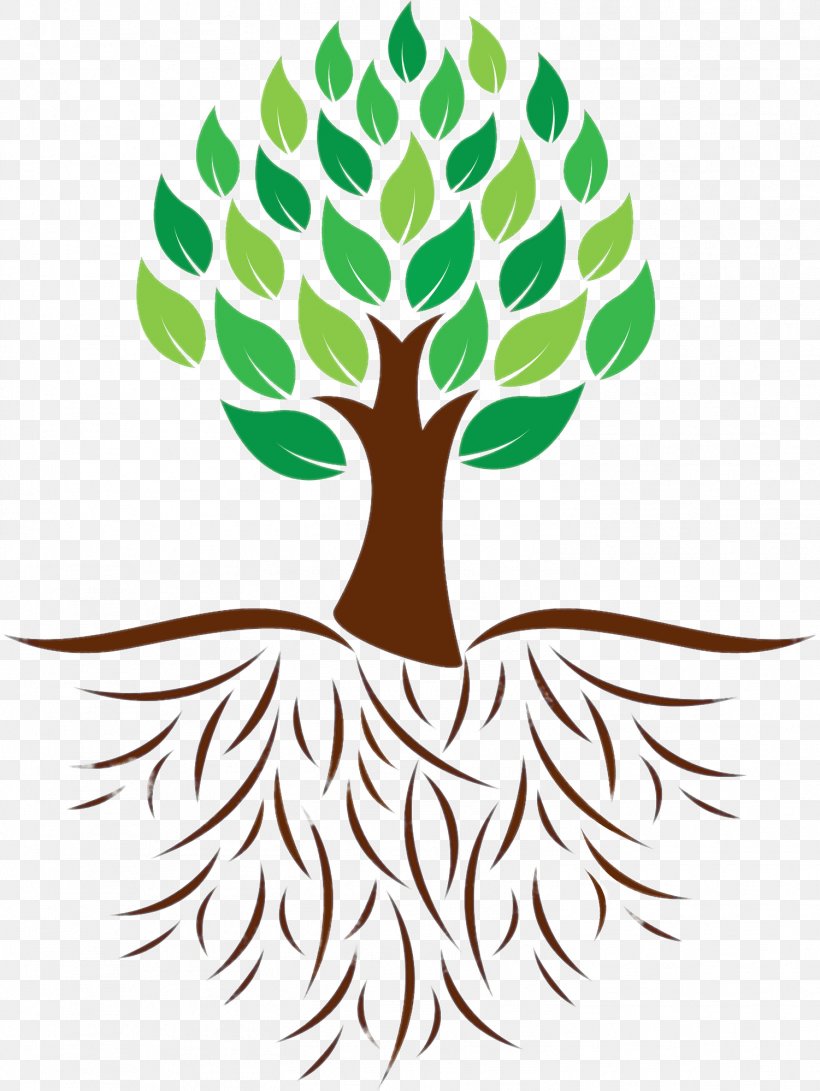Root Tree Clip Art, PNG, 1501x1998px, Root, Artwork, Branch, Drawing, Flora Download Free