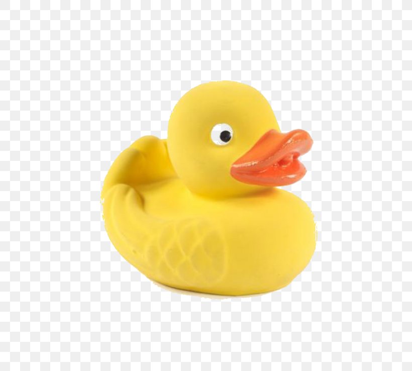 Rubber Duck Material, PNG, 595x738px, Duck, Beak, Bird, Ducks Geese And Swans, Material Download Free