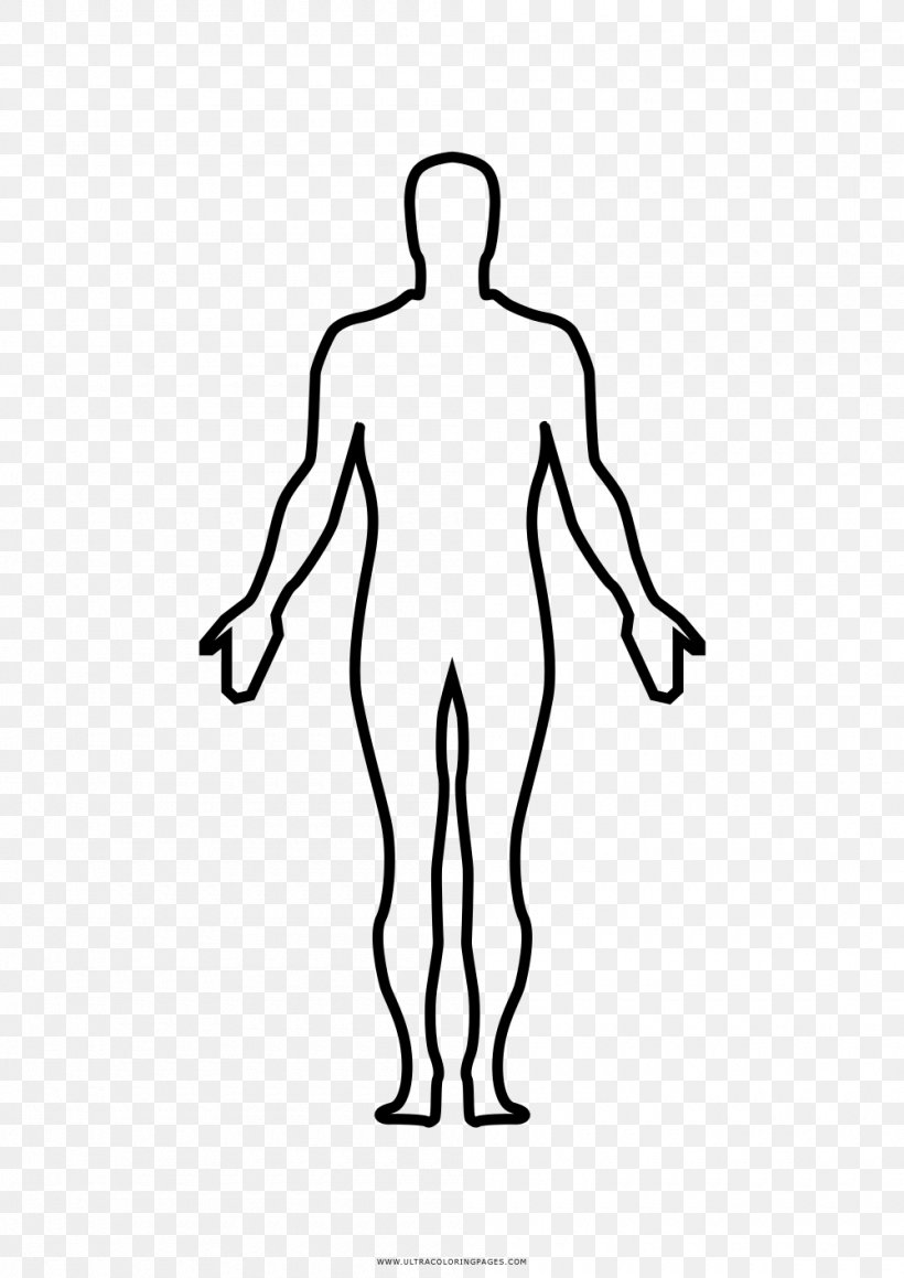 Thumb Homo Sapiens Human Body Anatomy Drawing, PNG, 1000x1414px, Watercolor, Cartoon, Flower, Frame, Heart Download Free