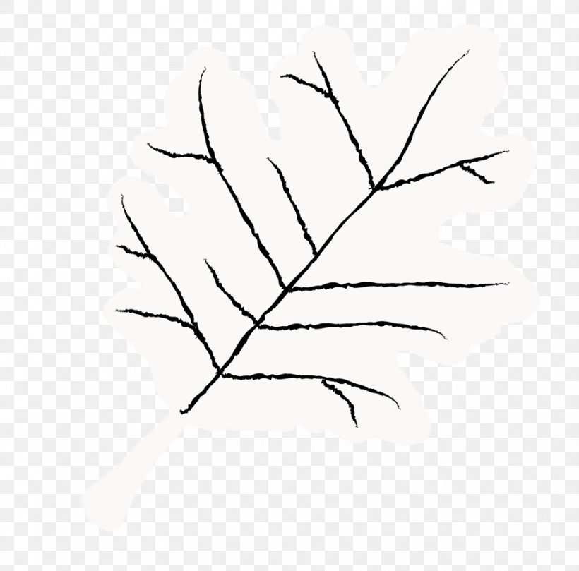 Twig Leaf Plant Stem Line Art Petal, PNG, 912x900px, Twig, Black And White, Branch, Drawing, Flower Download Free