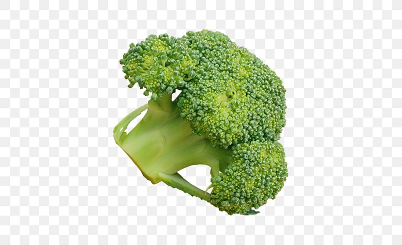 Broccoli Broccoflower Vegetable Rapini, PNG, 476x500px, Broccoli, Broccoflower, Cauliflower, Chinese Broccoli, Cruciferous Vegetables Download Free