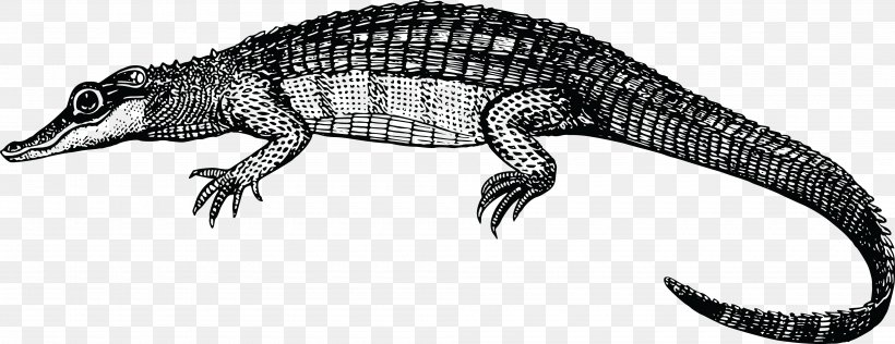 Crocodile Alligator Reptile Clip Art, PNG, 4000x1543px, Crocodile, Alligator, Amphibian, Animal Figure, Artwork Download Free
