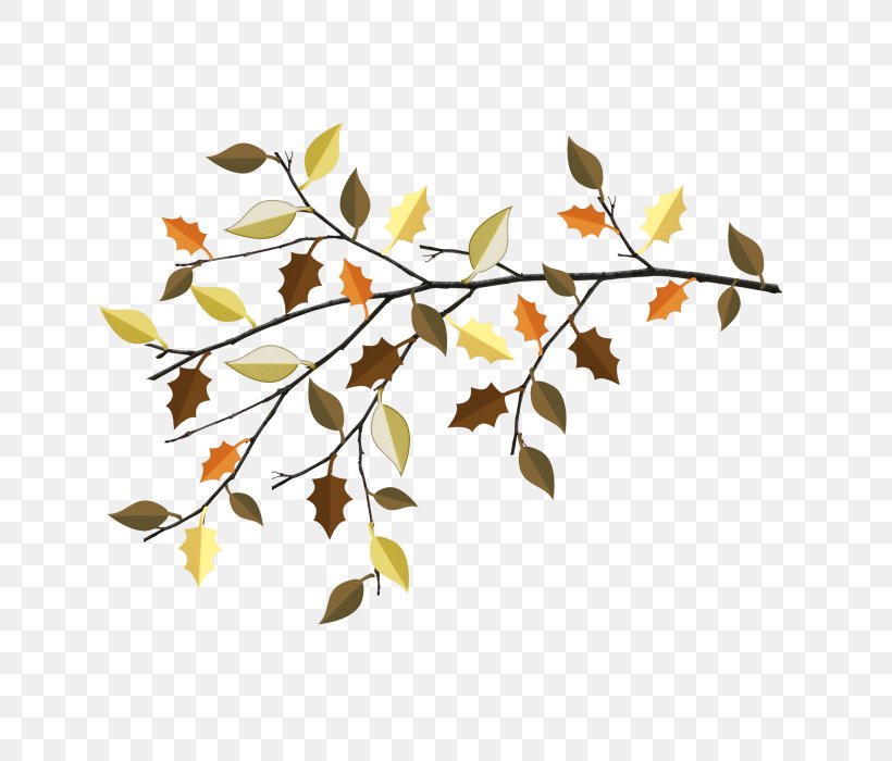 Maple Leaf Autumn, PNG, 700x700px, Leaf, Autumn, Autumn Leaf Color, Branch, Deciduous Download Free