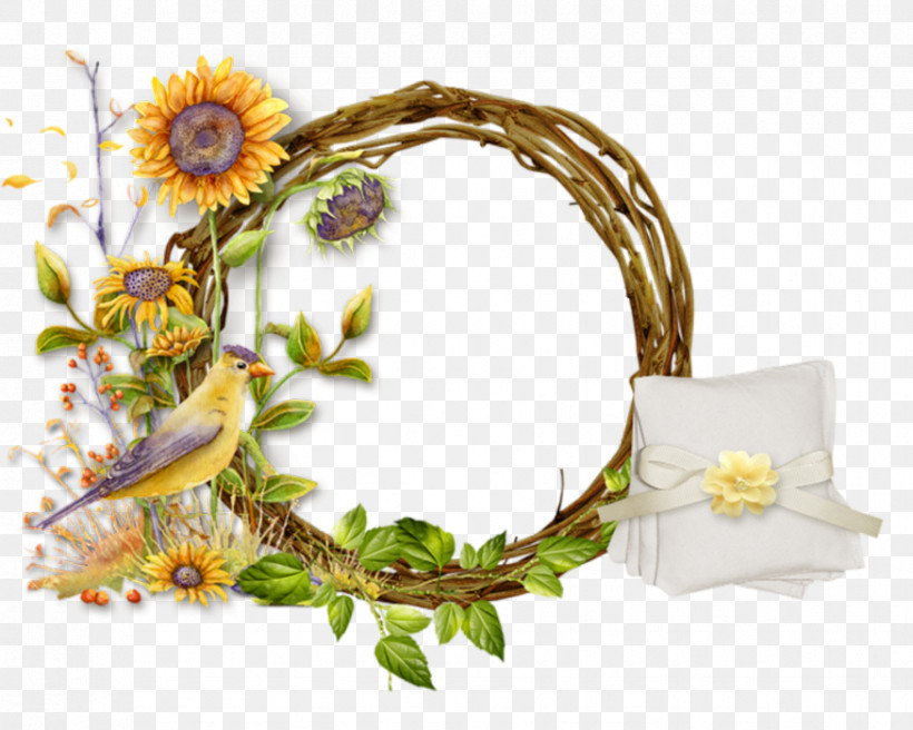 Picture Frame, PNG, 875x700px, Flower, Branch, Interior Design, Picture Frame, Plant Download Free