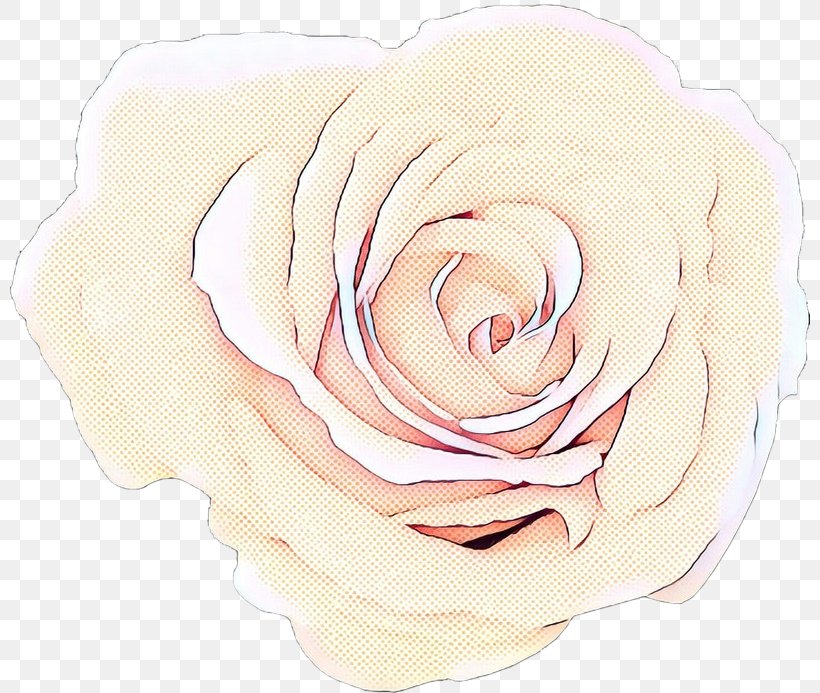 Pop Art Retro Vintage, PNG, 800x693px, Pop Art, Beige, Cabbage Rose, Camellia, Cut Flowers Download Free