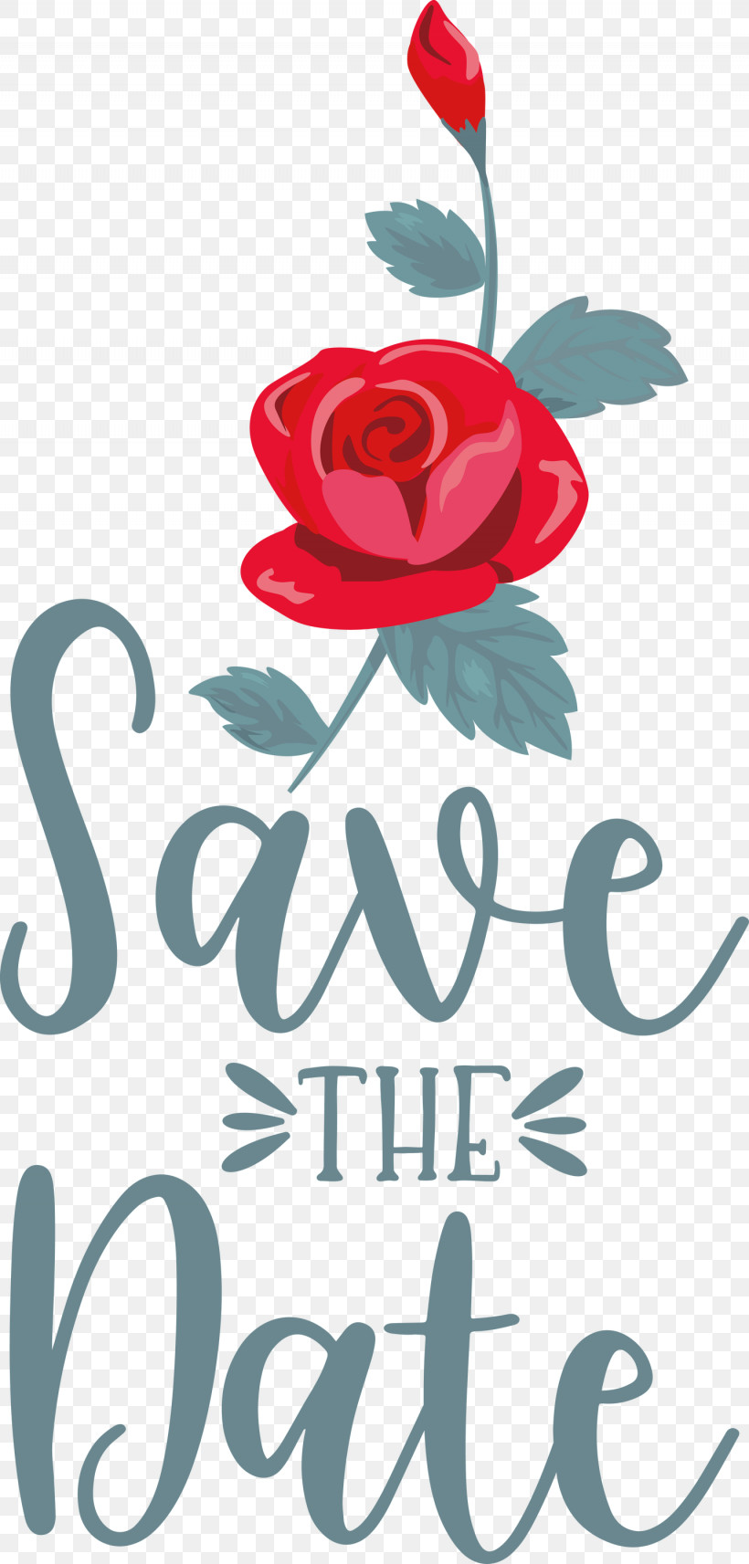 Save The Date Wedding, PNG, 1435x2999px, Save The Date, Cut Flowers, Floral Design, Flower, Garden Download Free